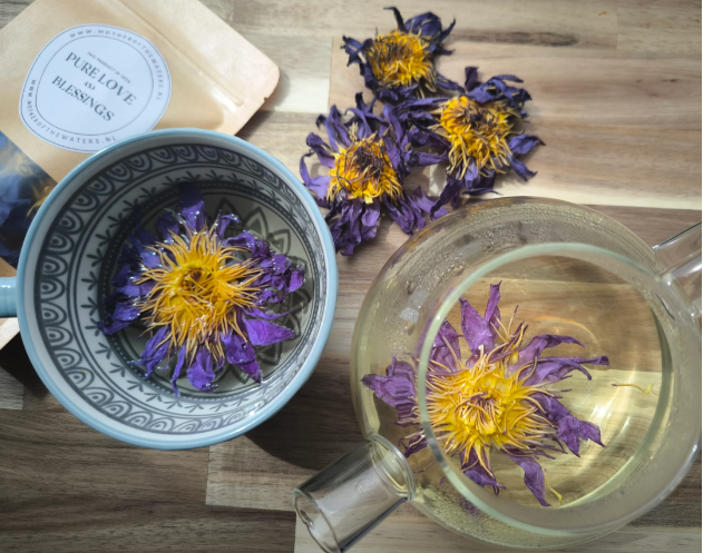 Sacred Blue Lotus – 10 Hele Bloemen (Ceremoniële Kwaliteit)