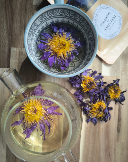 Sacred Blue Lotus – 10 Hele Bloemen (Ceremoniële Kwaliteit)