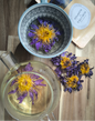 Sacred Blue Lotus – 10 Hele Bloemen (Ceremoniële Kwaliteit)